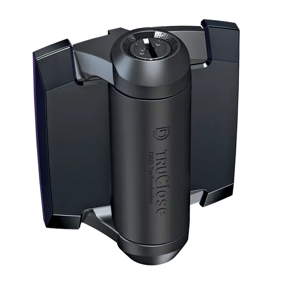 Samouzavírací závěsy pro bezpečnostní branky pro trubky 6/4“ – černá, kov, 48,3 mm, pár