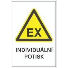 Varovné značení, varování před výbušnou atmosférou, s možností individuálního textu – fólie, 100×150 mm